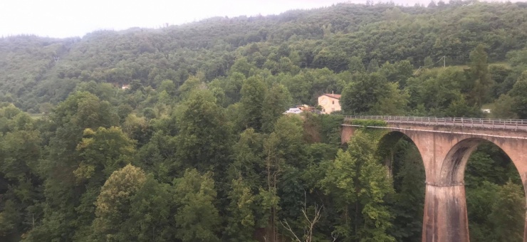 Mask of Conflict Mask of Conflict