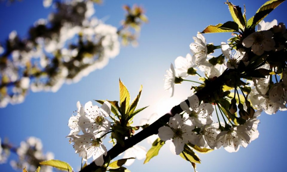 6 évnyi kűzdelem után...